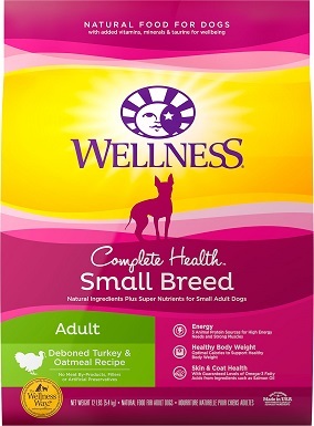best food for poodles with allergies