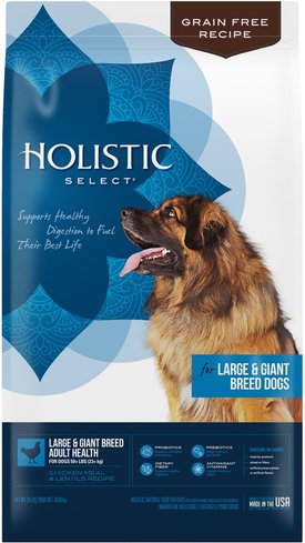 HOLISTIC SELECT Large & Giant Breed Chicken Meal & Lentils Natural Grain-Free Dry Dog Food, 24-lb bag - Chewy.com