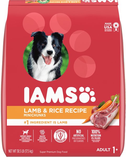 IAMS Minichunks Adult Lamb & Rice Recipe Dry Dog Food, 38.5-lb bag - Chewy.com