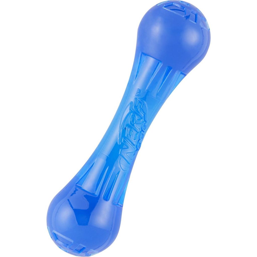 Top 10 Best Chew Toys for PitBulls