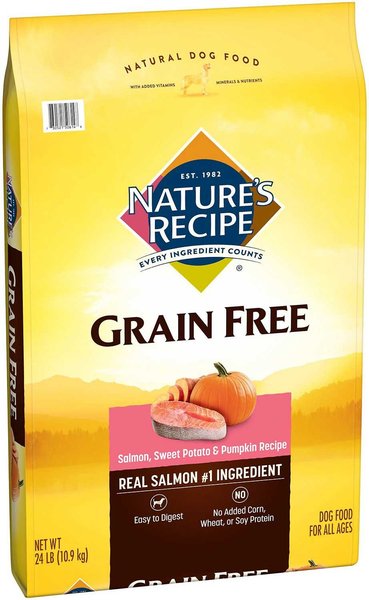 NATURE'S RECIPE Grain-Free Salmon, Sweet Potato & Pumpkin Recipe Dry Dog Food, 24-lb bag, bundle of 2 - Chewy.com