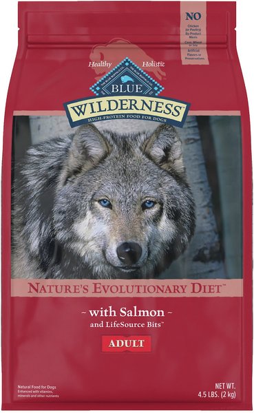BLUE BUFFALO Wilderness Salmon Recipe Grain-Free Dry Dog Food, 4.5-lb bag - Chewy.com