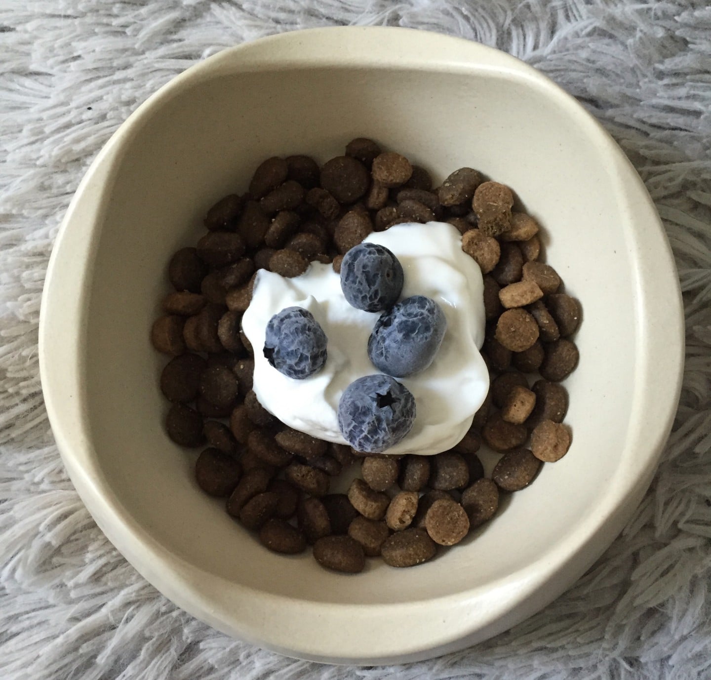 5 Dog Food Toppers to Help Boost Your Pup's Health - This Dogs Life