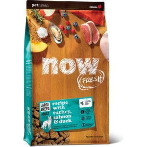 NOW FRESH Grain-Free Large Breed Senior Recipe Dry Dog Food, 25-lb bag - Chewy.com