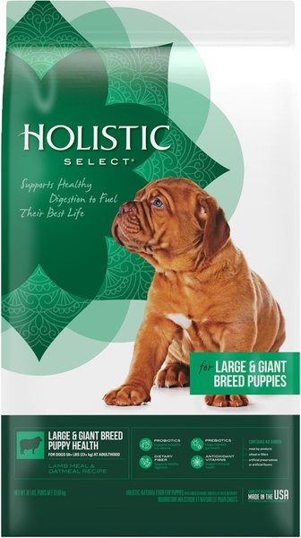 HOLISTIC SELECT Large & Giant Breed Puppy Health Lamb Meal & Oatmeal Recipe Dry Dog Food, 30-lb bag - Chewy.com