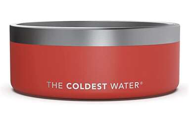 Best cooling: The Coldest Water Dog Bowl