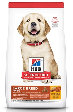 Hill’s Science Diet Puppy Large Breed Chicken Meal and Oat