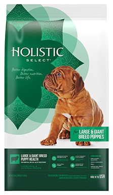 Holistic Select Large and Giant Breed Lamb and Oatmeal