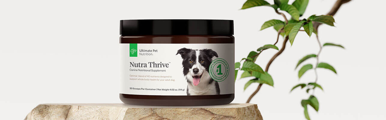 Exclusive 29% Savings With This Nutra Thrive For Dogs Coupon
