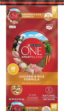 Purina ONE Natural Dry Dog