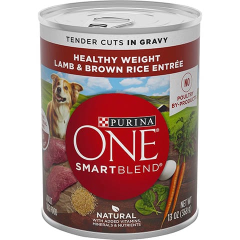 Purina ONE SmartBlend Tender Cuts in Gravy Canned Dog Food
