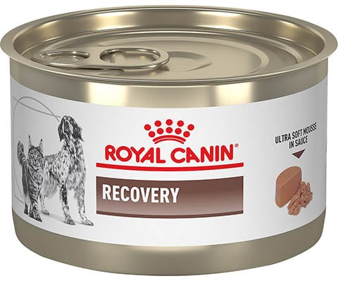 Royal Canin Veterinary Diet Recovery Ultra Soft Mousse in Sauce Wet Dog Food