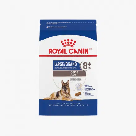 Royal Canin Large Aging 8+ Senior