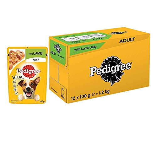 Pedigree Vital Protection Adult Wet Dog Food , Lamb in Jelly, 12 Pouches (12 x 100g)