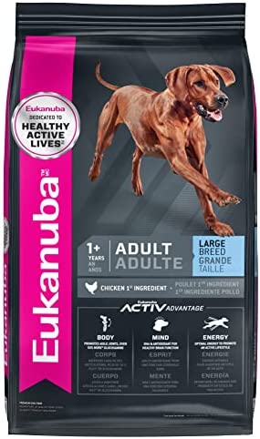 Amazon.com: Eukanuba Adult Large Breed Dry Dog Food, 33 lb : Pet Supplies