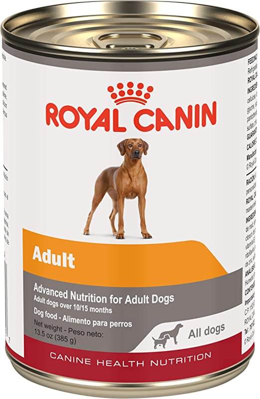 Royal Canin Canine Health Nutrition Adult In Gel Canned Dog Food